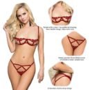 Plus Size Red Elegant Embroidery Fashion Bra Set With Underwire